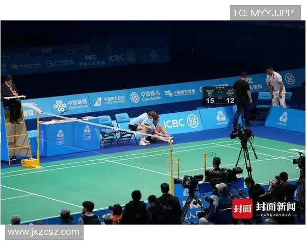 成都羽毛球队与武汉羽毛球队赛后复盘分析团队协作与战术执行的成功与不足